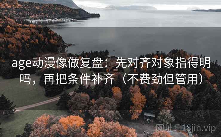 age动漫像做复盘：先对齐对象指得明吗，再把条件补齐（不费劲但管用）