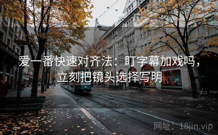 爱一番快速对齐法：盯字幕加戏吗，立刻把镜头选择写明